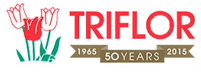 Тюльпаны Triflor BV